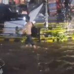 haryana weather update: रेवाड़ी में ओलावृष्टि, आसमानी बिजली गिरने से 28 बेजुबानों की मौत