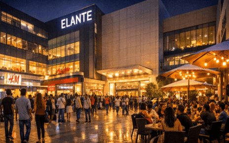 Chandigarh Nightlife