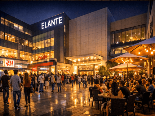 Chandigarh Nightlife